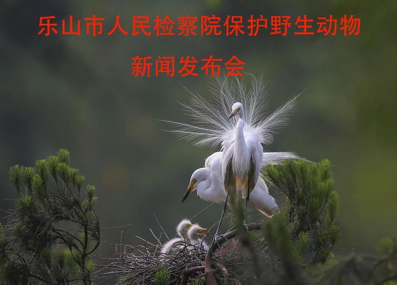 http://cms.ls-jcy.gov.cn/upload/20180711/201807111628054370.jpg